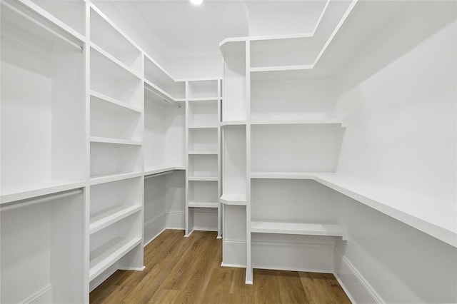 spacious closet with hardwood / wood-style flooring