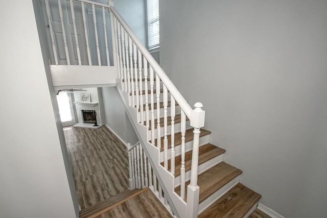 stairs featuring hardwood / wood-style floors