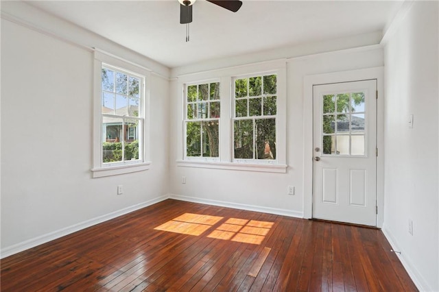 interior space featuring ceiling fan, plenty of natural light, and dark hardwood / wood-style flooring