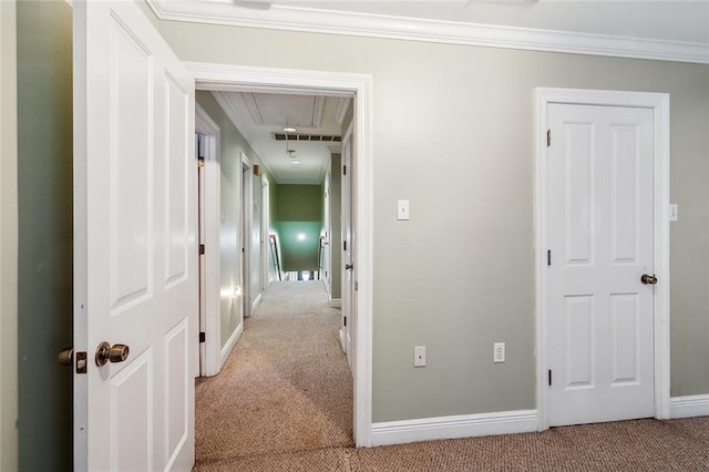 hallway featuring visible vents, ornamental molding, carpet flooring, and attic access