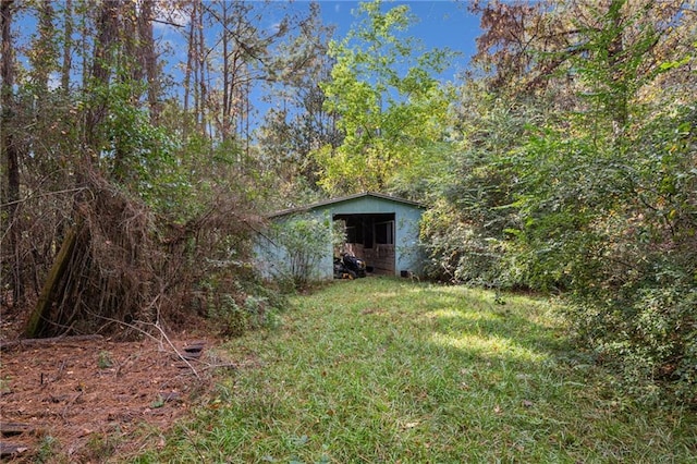 view of yard with a storage unit