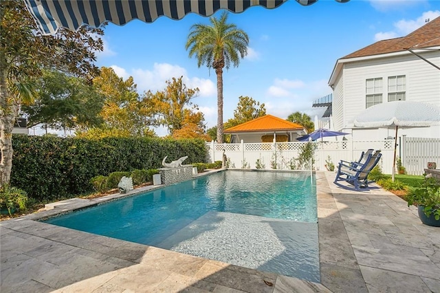 view of pool featuring a patio area