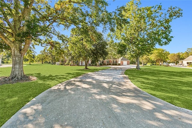 view of home's community with a yard