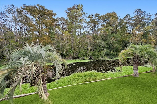 view of yard with a water view