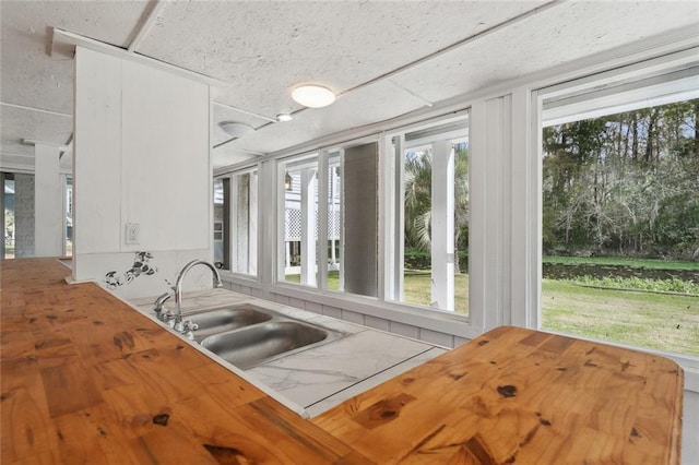 kitchen featuring sink and butcher block countertops