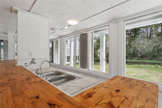 kitchen with a sink and butcher block counters