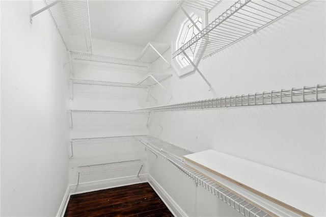 walk in closet featuring wood finished floors