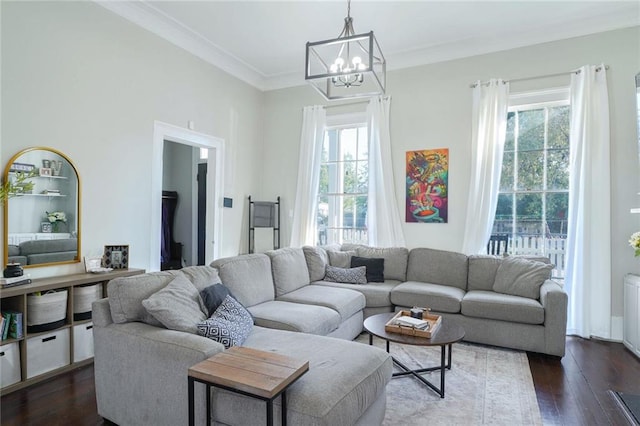 living room with ornamental molding, a chandelier, plenty of natural light, and dark hardwood / wood-style flooring