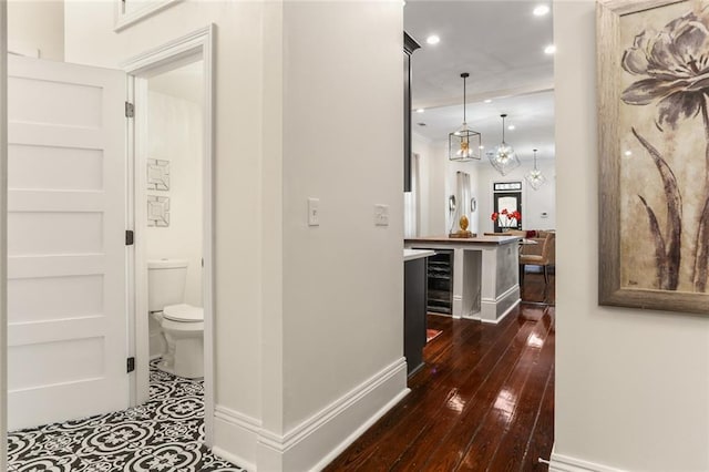 hall featuring wine cooler and dark hardwood / wood-style flooring