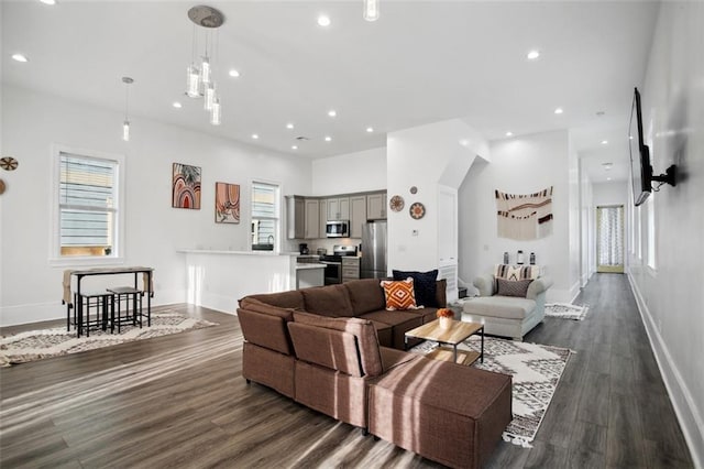 living room with dark hardwood / wood-style flooring