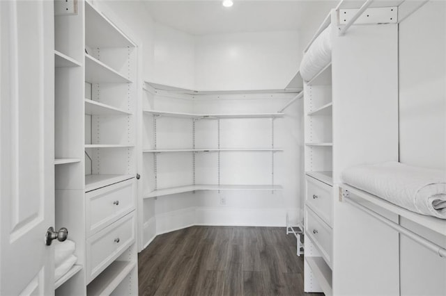 walk in closet featuring dark hardwood / wood-style floors