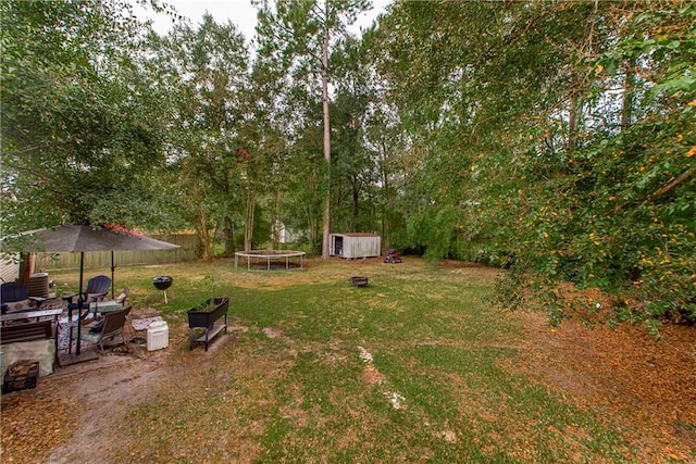 view of yard with a shed and a trampoline