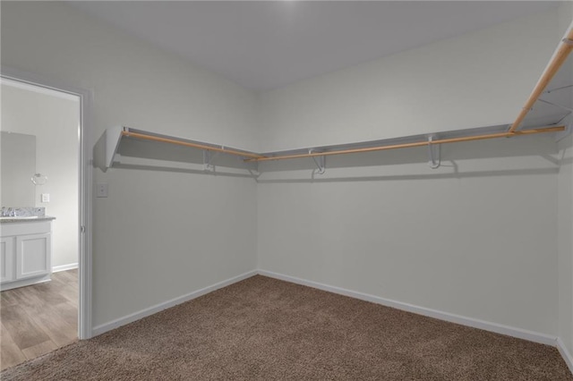 spacious closet with light carpet