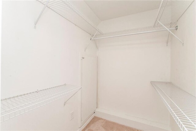 walk in closet with light colored carpet