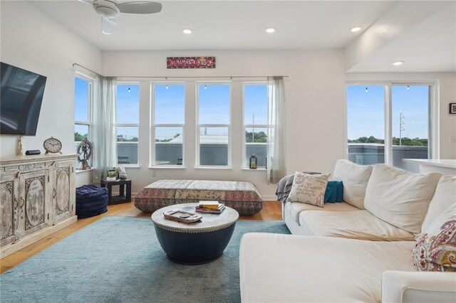 living room with ceiling fan and light wood-type flooring