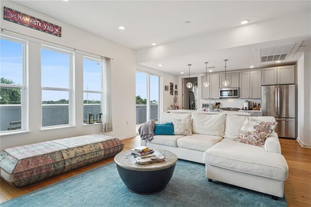 living room with a wealth of natural light and hardwood / wood-style flooring