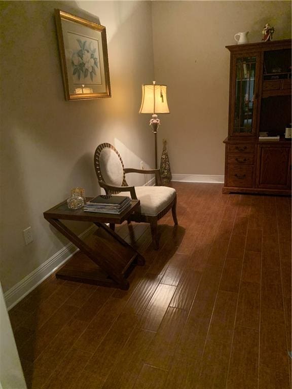 sitting room featuring dark hardwood / wood-style floors