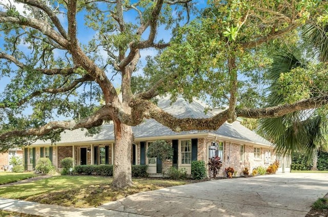 6409 Bertha Dr, New Orleans, LA 70122 - ranch-style home with brick siding, a front yard, and driveway
