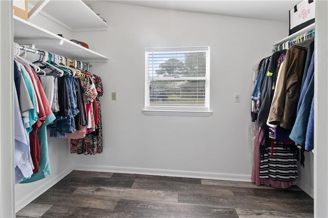 walk in closet with dark hardwood / wood-style flooring