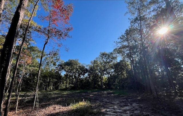 62156 Vista Dr, Lacombe, LA 70445