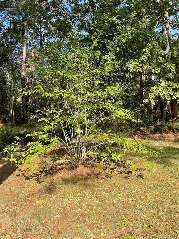 71 Oak Park Dr, Madisonville, LA 70447 - photo 14