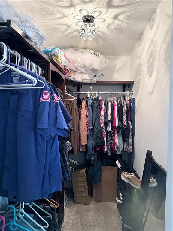 walk in closet featuring carpet floors