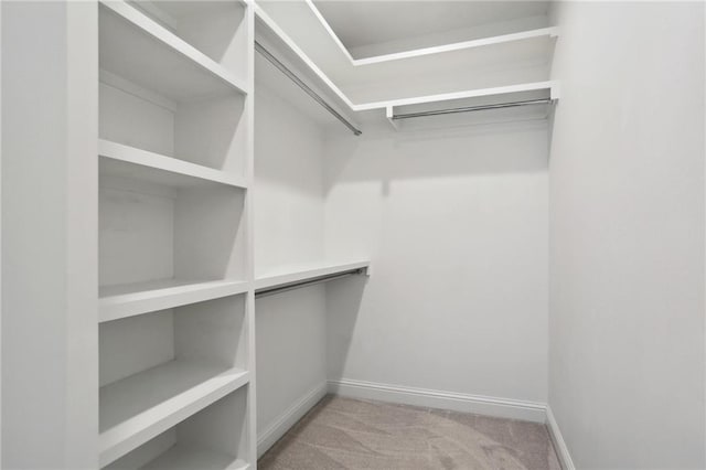 spacious closet with light colored carpet