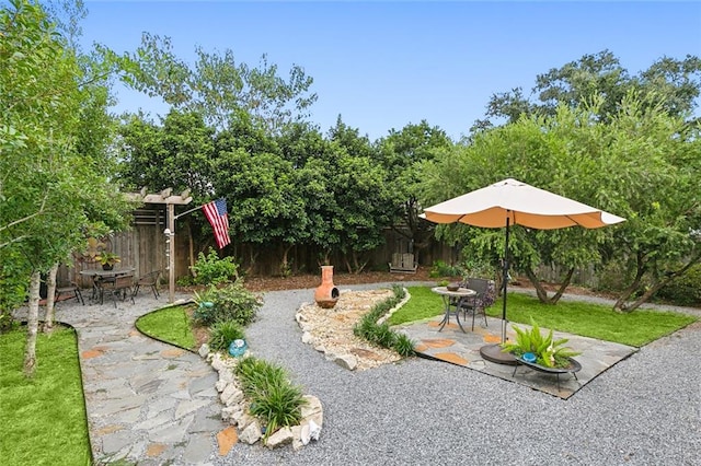 view of yard featuring a patio