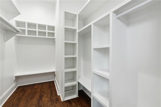 spacious closet featuring dark hardwood / wood-style floors