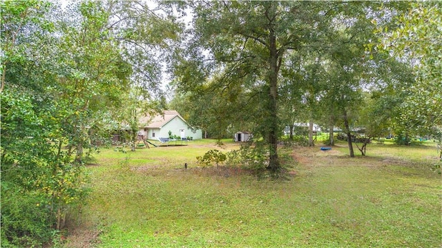 39523 E Porter River Rd, Pearl River, LA 70452 - view of grassy yard