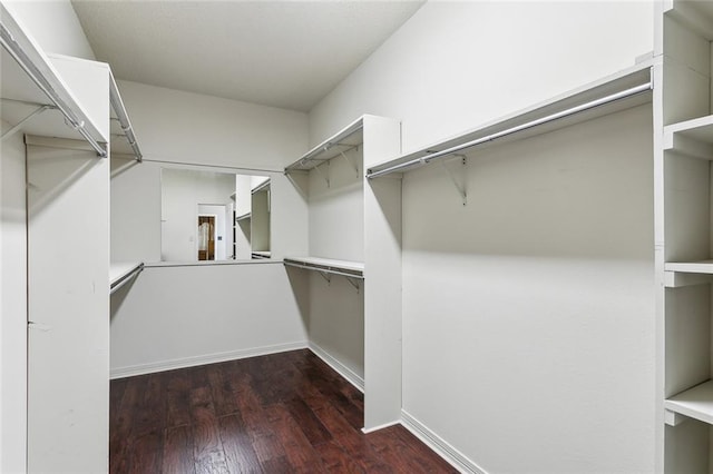 spacious closet with dark wood-type flooring