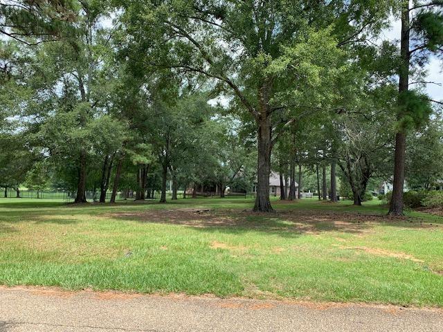 LOT110 Chinawood Dr, Abita Springs LA, 70420 land for sale