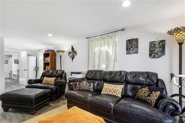 living room featuring light wood-type flooring