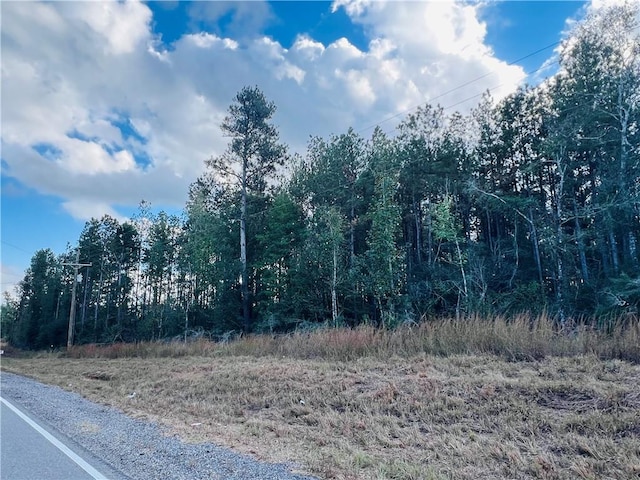 432 Hwy Highway, Greensburg LA, 70441 land for sale