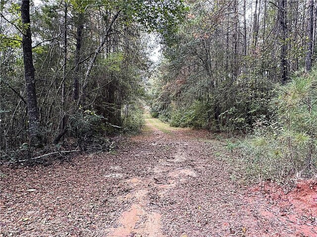 49ACRES Holliday Rd, Folsom, LA 70437