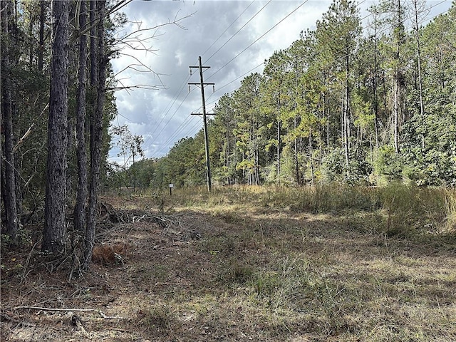 49ACRES Holliday Rd, Folsom, LA 70437