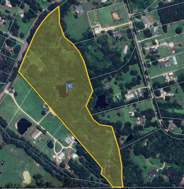 25286 Juban Rd, Denham Springs, LA 70726