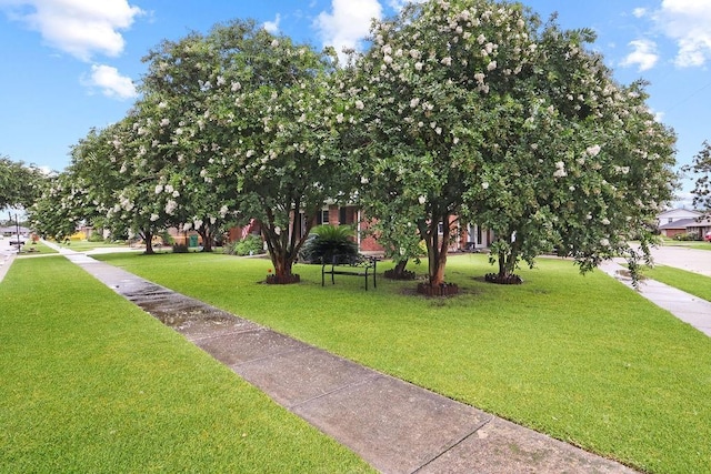 view of home's community featuring a lawn