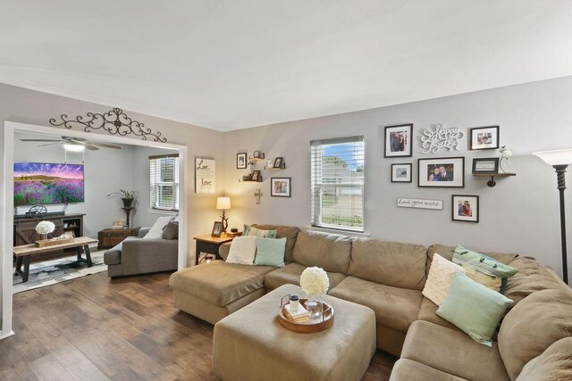 living room with dark hardwood / wood-style flooring and ceiling fan