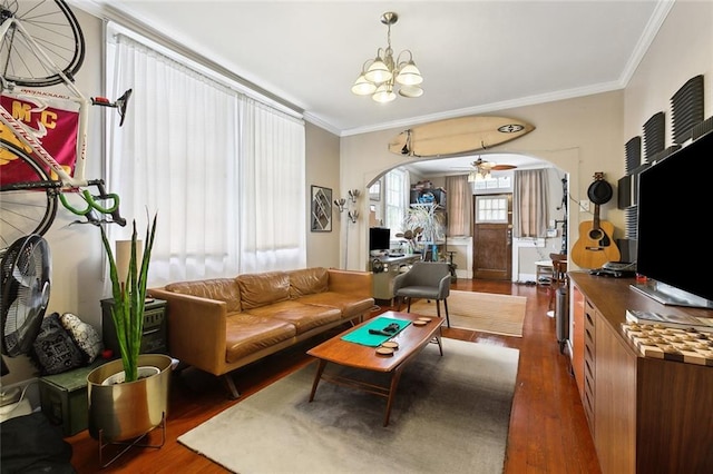 living room with ceiling fan with notable chandelier, dark hardwood / wood-style floors, and crown molding