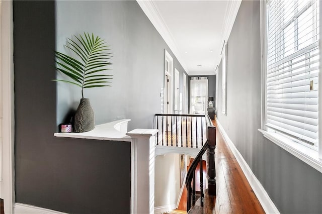 hallway featuring wood-type flooring and ornamental molding