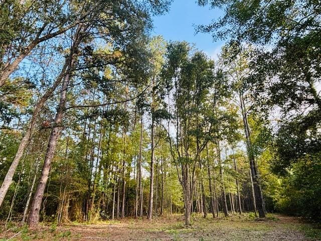 10.34ACRES E Moran Rd, Pearl River LA, 70452 land for sale