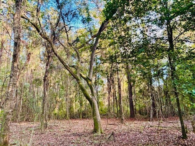 Listing photo 2 for 10.34ACRES E Moran Rd, Pearl River LA 70452