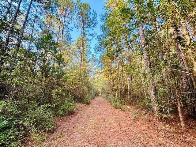 15ACRES E Moran Rd, Pearl River, LA 70452