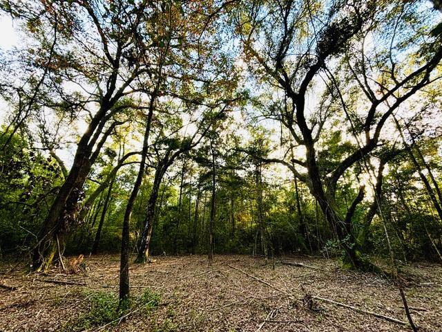 15ACRES E Moran Rd, Pearl River, LA 70452