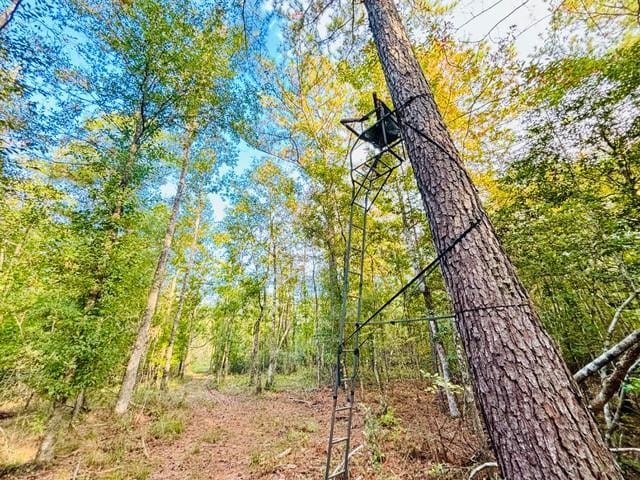15ACRES E Moran Rd, Pearl River, LA 70452