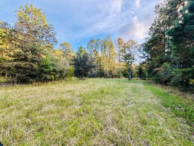 15ACRES E Moran Rd, Pearl River, LA 70452