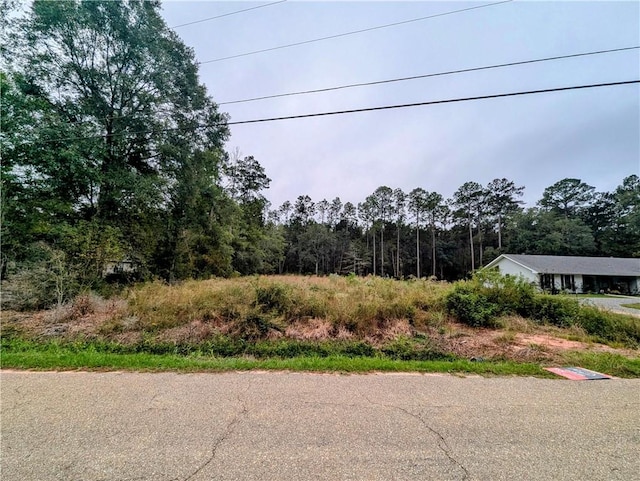 Listing photo 3 for 23364 Oscar St, Mandeville LA 70448