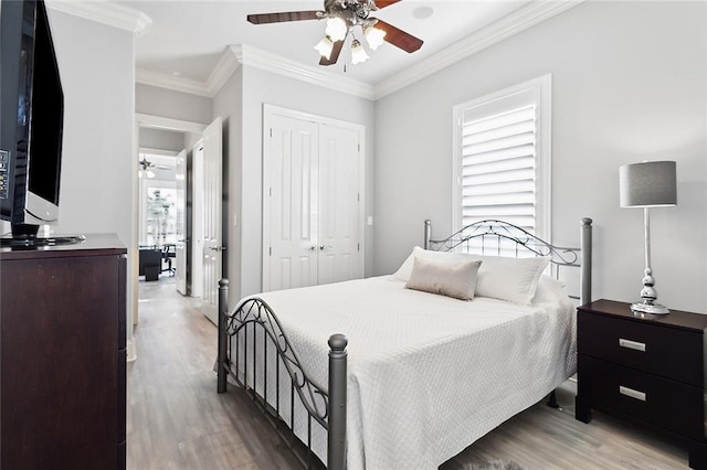 bedroom featuring ornamental molding, a closet, ceiling fan, and wood-type flooring