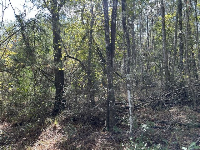 27823 J C Stewart Rd, Albany, LA 70711 - photo 5